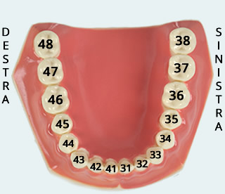 numerazione-dei-denti